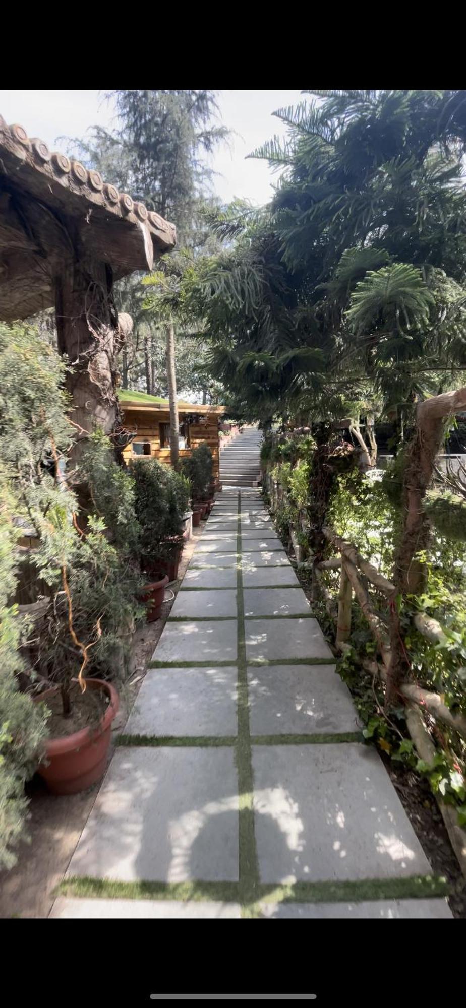 Kasauli Castle Resort Luaran gambar