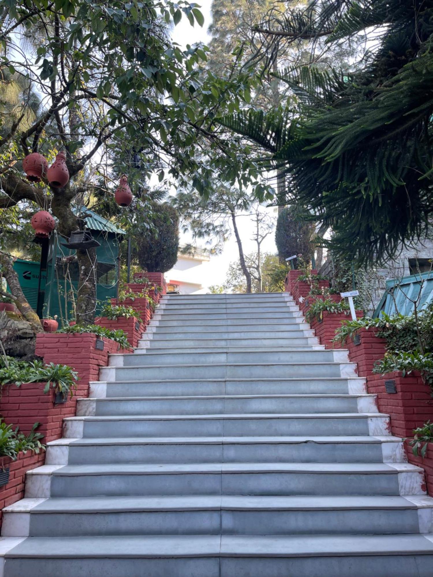 Kasauli Castle Resort Luaran gambar